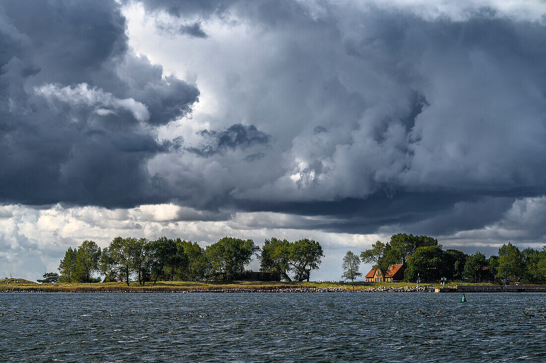 Blick auf die Insel Ruden, Bootsausflug mit der Seeadler zu Insel Ruden und Greifswalder Oie, Ostseeküste, Mecklenburg Vorpommern, Deutschland