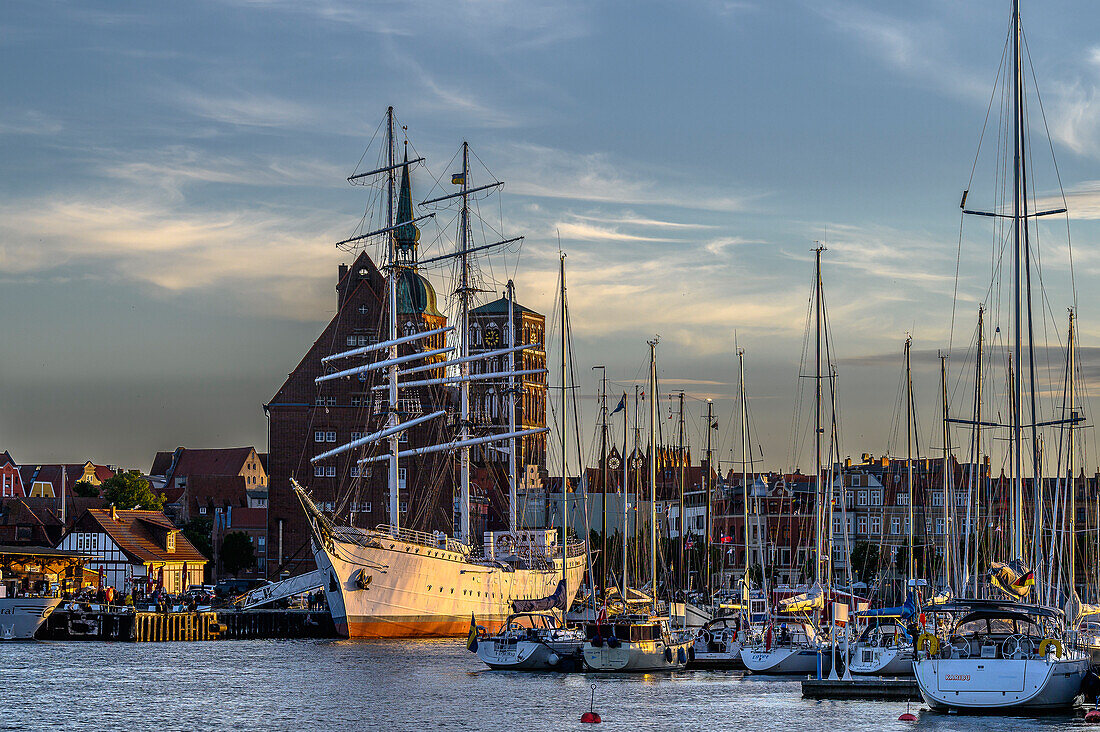  Gorch Fock1 in the harbor of Stralsund, Baltic Sea coast, Mecklenburg Western Pomerania Baltic Sea coast, Mecklenburg Western Pomerania, Germany 