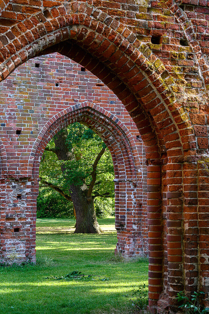 Klosterruinen Eldena in Greifswald, Ostseeküste, Mecklenburg Vorpommern, Deutschland