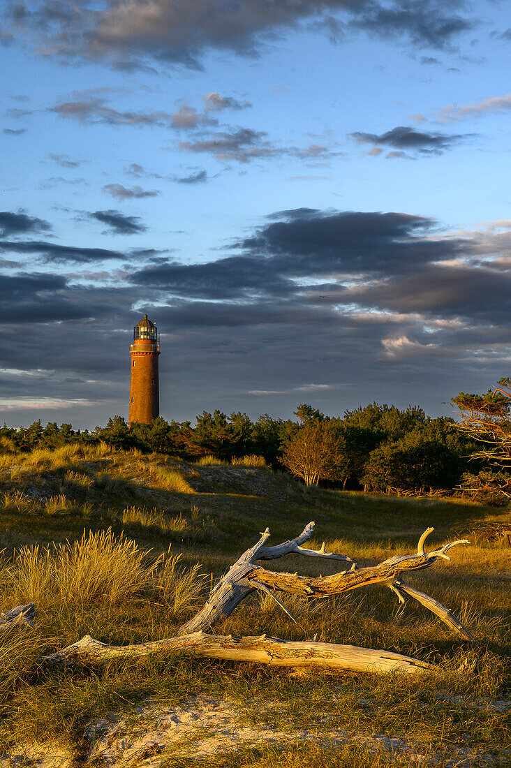 Leuchtturm im Sonnenuntergang, am Darßer Ort, Halbinsel Darß, Ostseeküste, Mecklenburg Vorpommern, Deutschland
