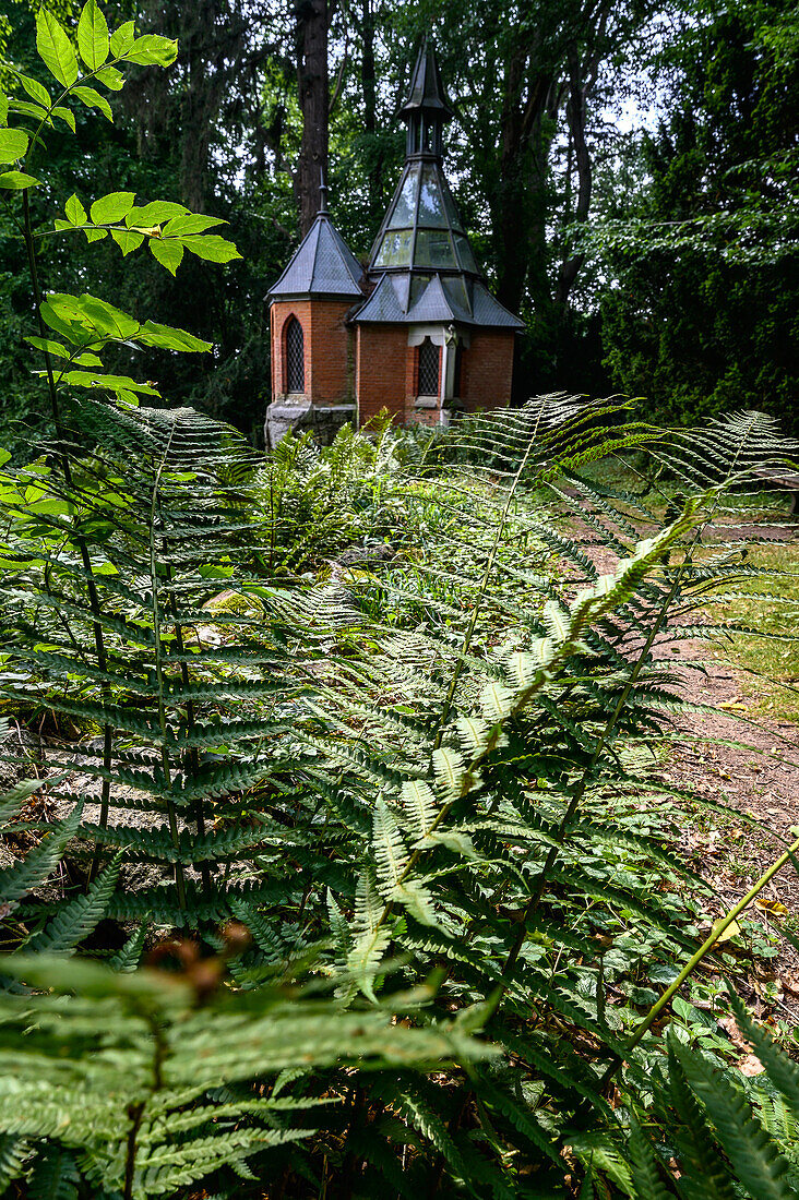 Parkanlage Arboretum, Botanischer Garten vom Schloss Kalkhorst, Klützerwinkel, Ostseeküste, Mecklenburg-Vorpommern, Deutschland