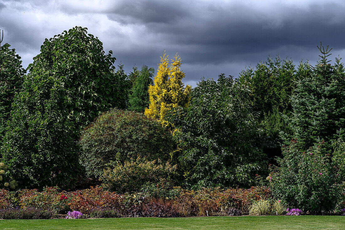 Pflanzen im Botanischen Garten Christiansberg bei Luckow, Stettiner Haff, Ostseeküste, Mecklenburg-Vorpommern, Deutschland