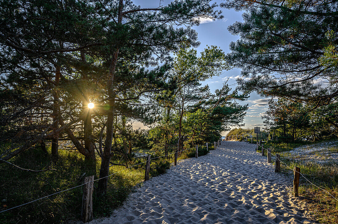 Sonnenuntergang über der Landschaft am Leuchtturm Darßer Ort, Halbinsel Darß, Ostseeküste, Mecklenburg-Vorpommern, Deutschland