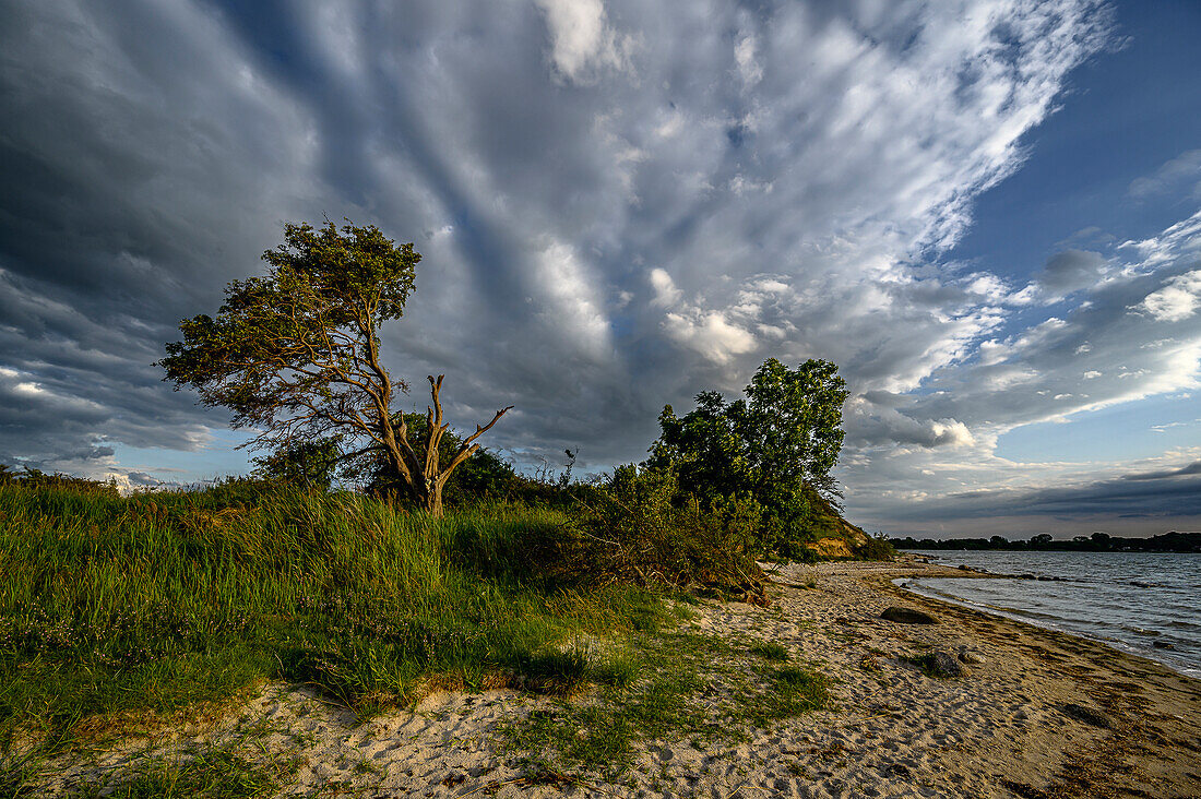  Stralsund: Devin peninsula nature reserve near Stralsund, Baltic Sea coast, Mecklenburg Western Pomerania Baltic Sea coast, Mecklenburg Western Pomerania 