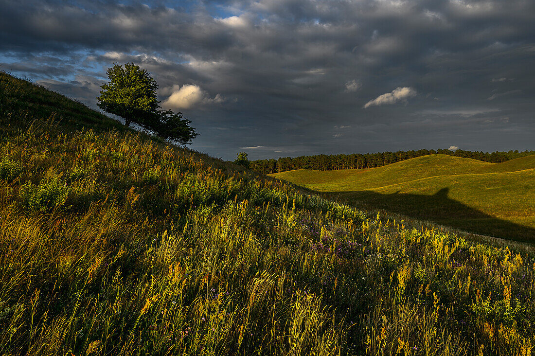 Landschaft im Mönchgut, Rügen, Ostseeküste, Mecklenburg-Vorpommern, Deutschland