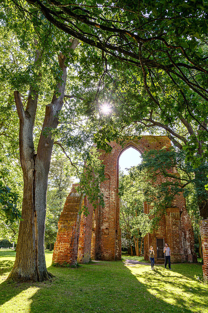 Klosterruinen Eldena in Greifswald, Ostseeküste, Mecklenburg-Vorpommern, Deutschland