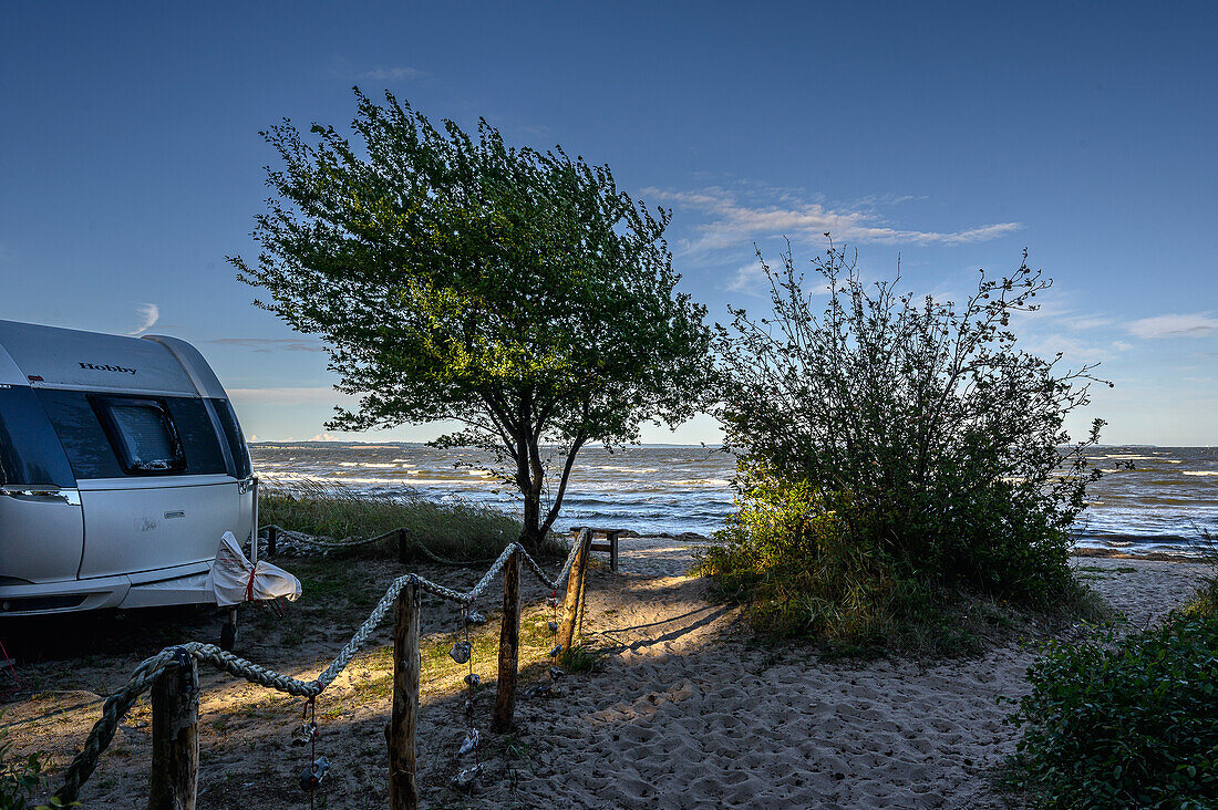  Pritzwald-Zudar campsite, Rügen, Baltic coast, Mecklenburg-Western Pomerania, Germany 