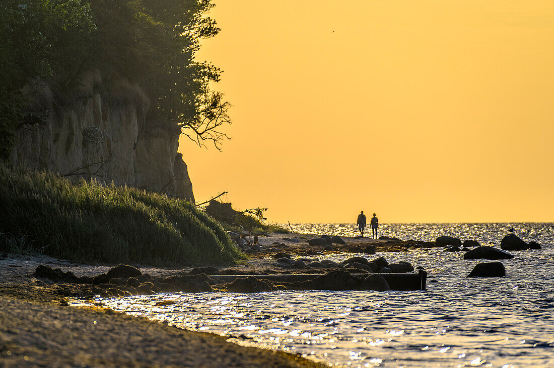  Gollwitz Beach, Poel Island, Baltic Sea Coast, Mecklenburg Western Pomerania 