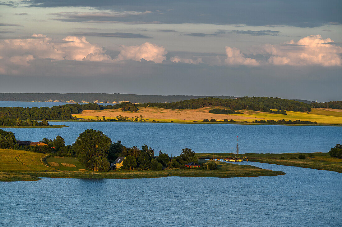  View from the Johann Jacob Grümbke observation tower, landscape on the Lebbin peninsula, Rügen, Baltic Sea coast, Mecklenburg Western Pomerania Baltic Sea coast, Mecklenburg Western Pomerania, Germany 