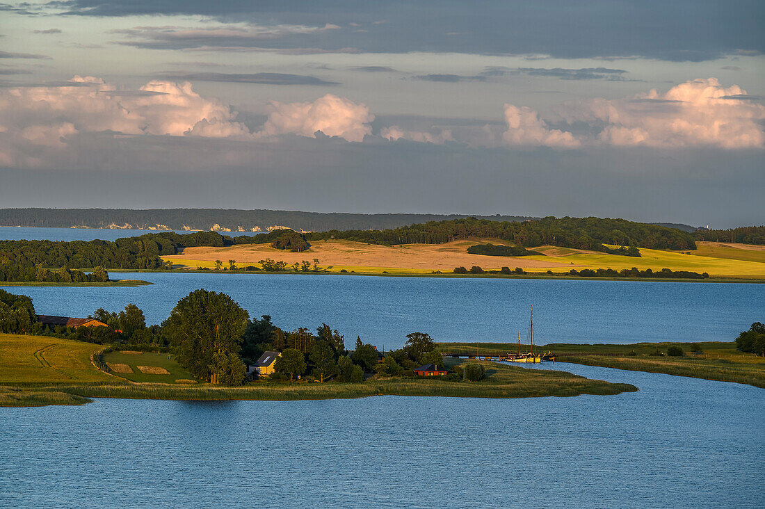 Blick vom Johann-Jacob-Grümbke-Aussichtsturm, Landschaft auf der Halbinsel Lebbin, Rügen, Ostseeküste, Mecklenburg-Vorpommern, Deutschland