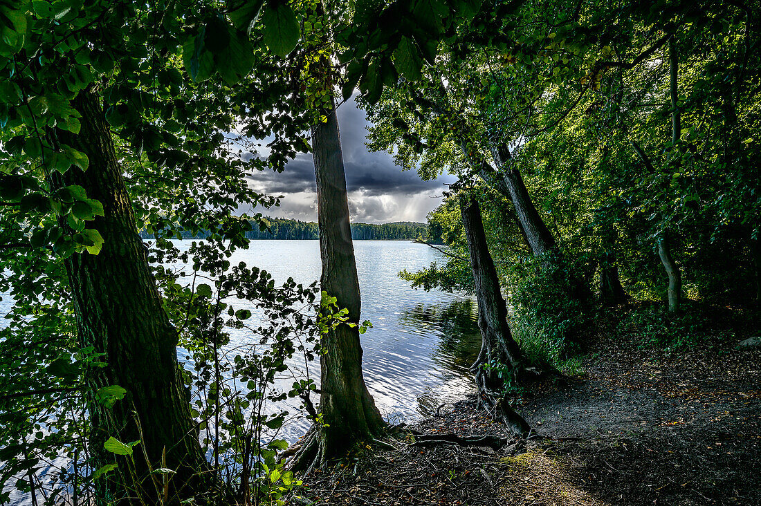  Wolgastsee, Usedom, Baltic Sea coast, Mecklenburg Western Pomerania, Germany 