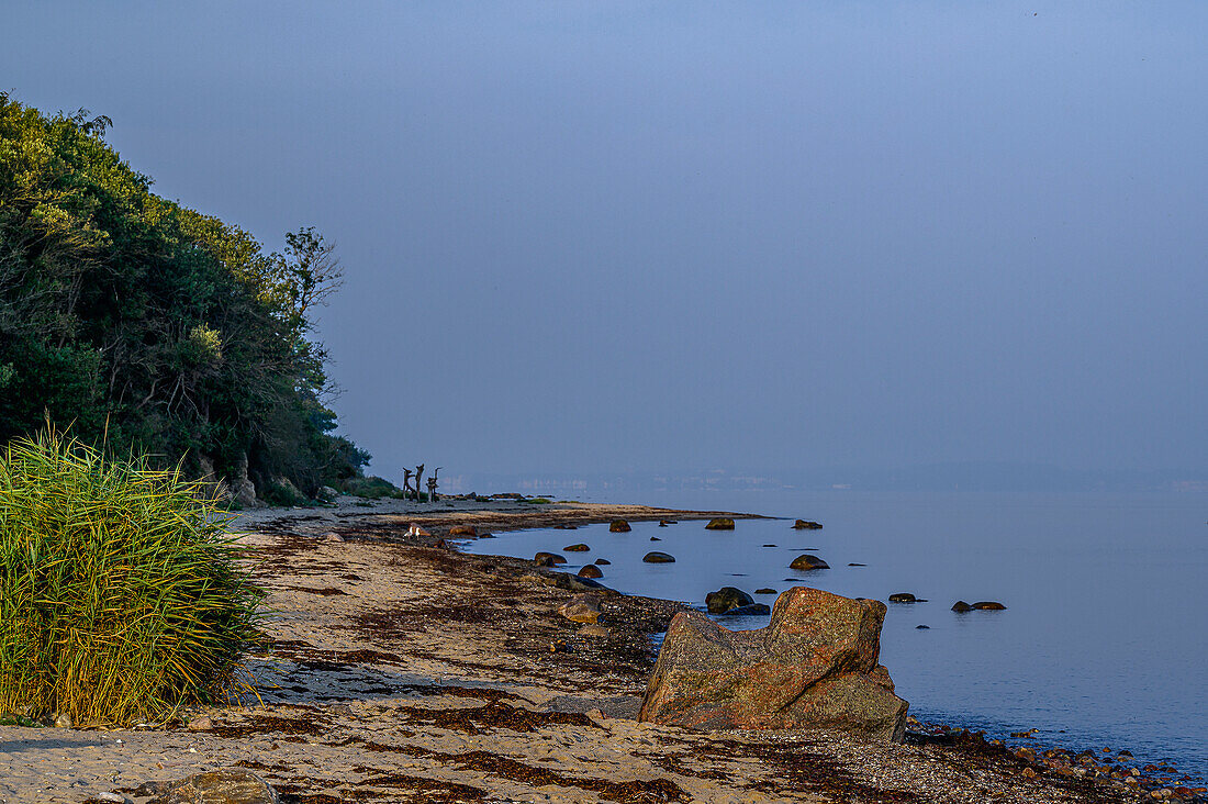 Strand Bei Barendorf, Kalkhorst, Klützerwinkel,  Ostseeküste, Mecklenburg-Vorpommern, Deutschland