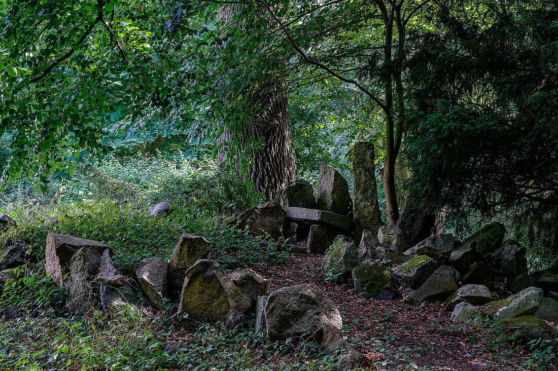  Park with arboretum/botanical garden at Kalkhorst Castle, Klützerwinkel, Baltic Sea coast, Mecklenburg-Western Pomerania, Germany 