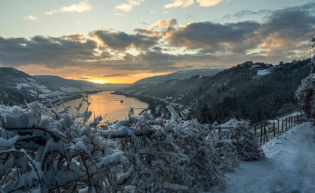  Sunrise in the Rhine Valley in winter, view from Rheinburgenweg in Bacharach, Rhineland-Palatinate, Germany 