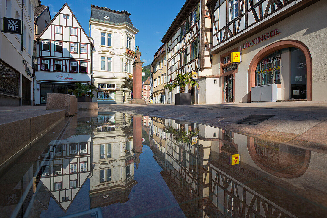  The Kellereistrasse in Neustadt an der Weinstrasse, Rhineland-Palatinate, Germany 