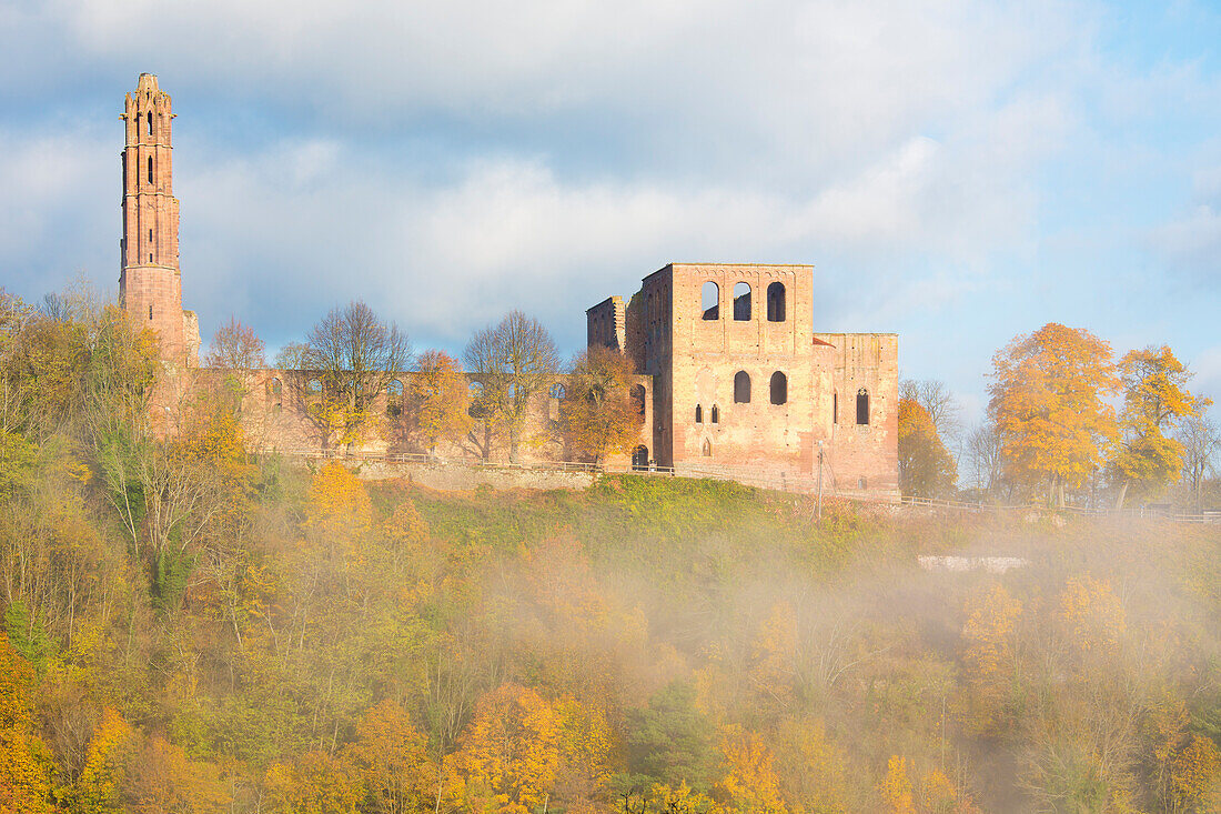  The Limburg monastery ruins in the autumn fog, Bad Dürkheim, Rhineland-Palatinate, Germany 
