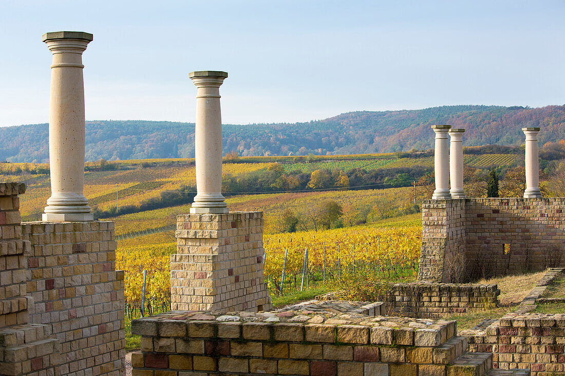  Roman winery Weilberg in Ungstein, Bad Dürkheim, Rhineland-Palatinate, Germany 