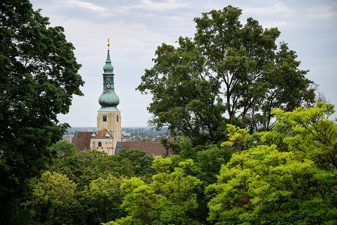 UNESCO Welterbe "Die bedeutenden Kurstädte Europas", Kirchturm der Stadtpfarrkirche St. Stephan vom Kurpark aus gesehen, Baden bei Wien, Niederösterreich, Österreich, Europa