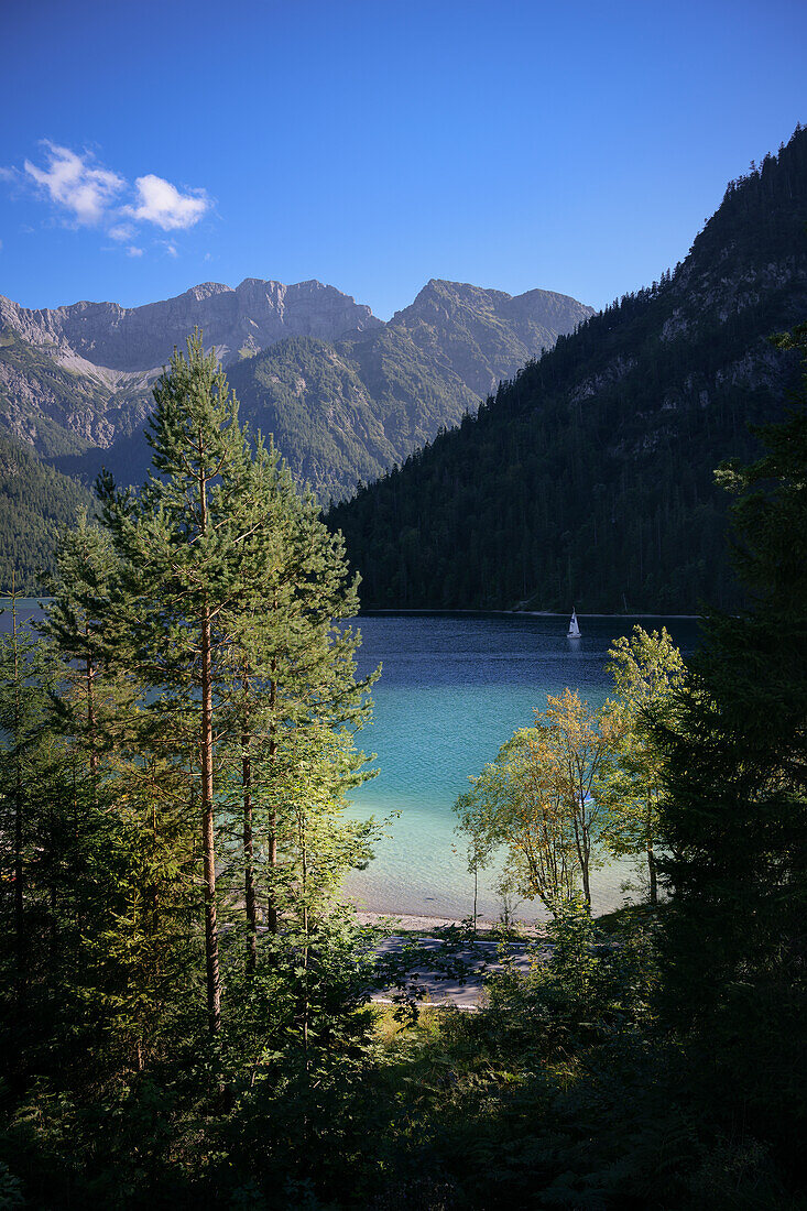  Sailing boat on the crystal clear Plansee, Reutte district, Ammergau Alps, Tyrol, Austria, Europe 