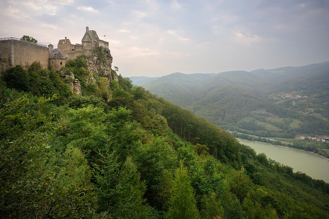 UNESCO Welterbe "Kulturlandschaft Wachau", Blick über Burgruine Aggstein hin zur Donau, Schönbühel-Aggsbach, Niederösterreich, Österreich, Europa