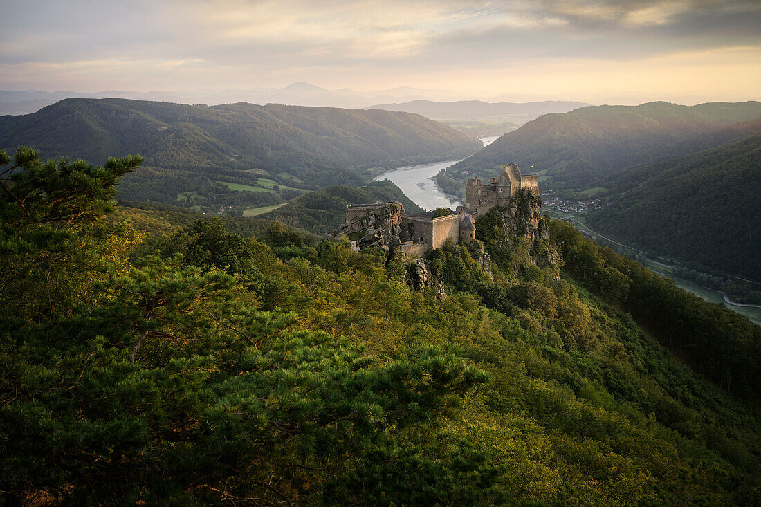 UNESCO Welterbe "Kulturlandschaft Wachau", Blick über Burgruine Aggstein hin zur Donau, Schönbühel-Aggsbach, Niederösterreich, Österreich, Europa