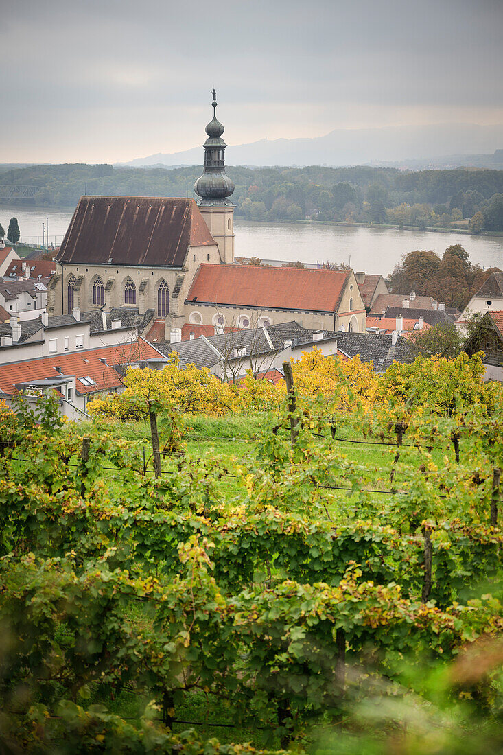 Blick über Weingärten zur Pfarrkirche Heiliger Nikolaus, UNESCO Welterbe "Kulturlandschaft Wachau", Teilort Stein bei Krems an der Donau, Niederösterreich, Österreich, Europa