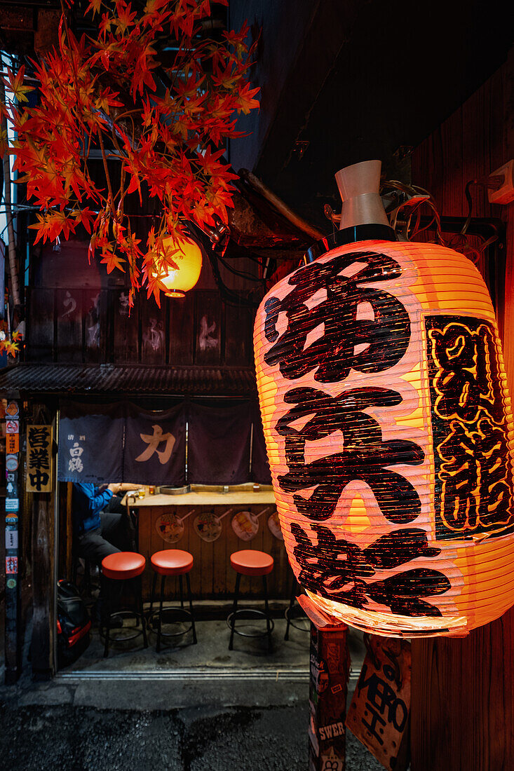 Berühmte Gasse mit verschiedenen Imbissständen, Omoide Yokocho, Shinjuku City, Tokio, Tokyo, Japan, Asien