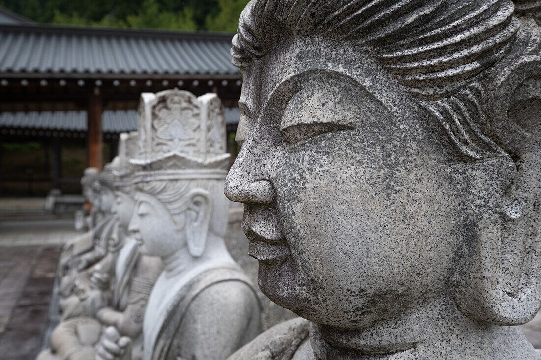 Detailaufnahme von Steinstatuen in der Pagode gojyu no to im Seida-ji Tempel, Daishi Berg, Katsuyama, Okuetsu, Fukui, Japan, Asien 