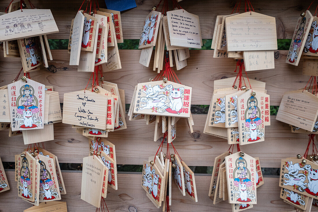 Wunschtafeln im Maneki-neko am Tama-Schrein im „Katzentempel“ Gōtoku-ji Tempel, Gotokuji, Tokio, Japan, Asien