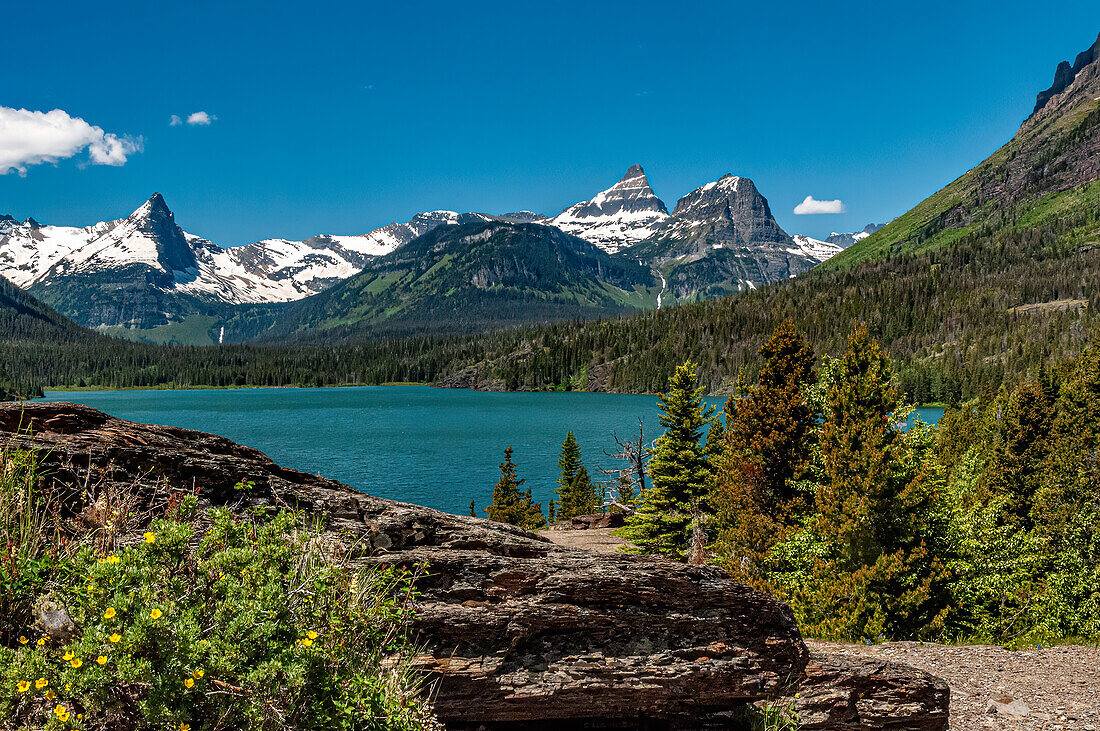 Mountains, Lakes and trees from Sunspot Point in Glacier National Park