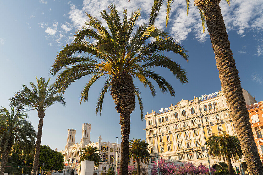  Palm trees, buildings on Via Roma, Cagliari, Sardinia, Italy 