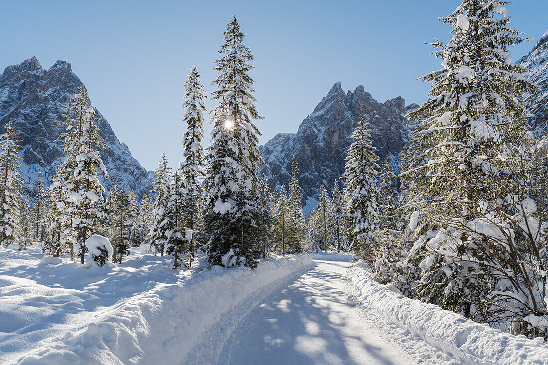  Fischleintal, Elferkofel, Einserkofel, Sexten, South Tyrol, Alto Adige, Italy 