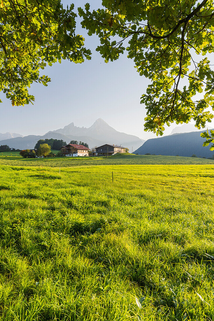  Watzmann from Stanggaß, Oberreit, Berchtesgadener Land, Bavaria, Germany 