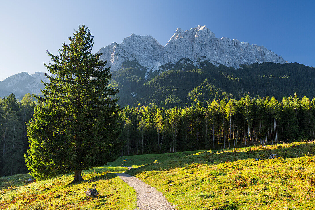  Waxenstein, Wetterstein Mountains, Obergrainau, Grainau, Werdenfelser Land, Bavaria, Germany 