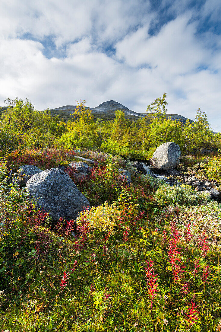 Hallji mountain, Stora Sjöfallets National Park, Lapland, Sweden, Europe 