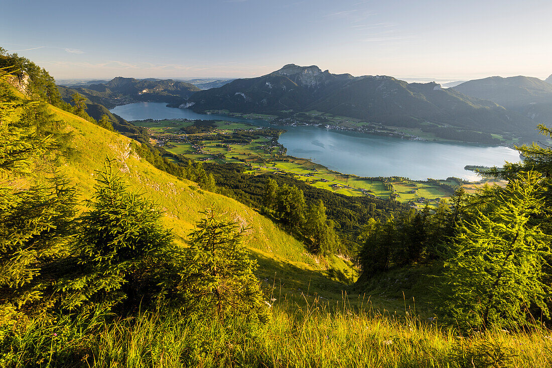 Blick von der Bleckwand, Wolfgangsee, Salzkammergut, Salzburg, Österreich