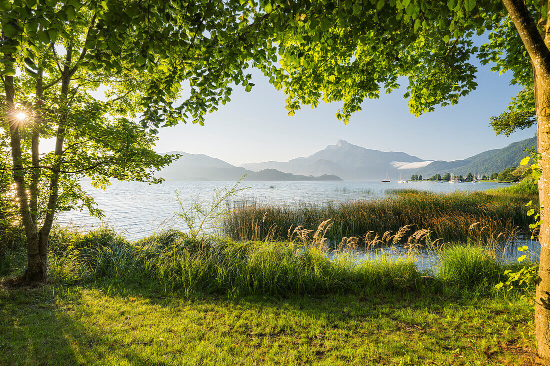 Mondsee, Schafberg, Salzkammergut, Salzburg, Österreich