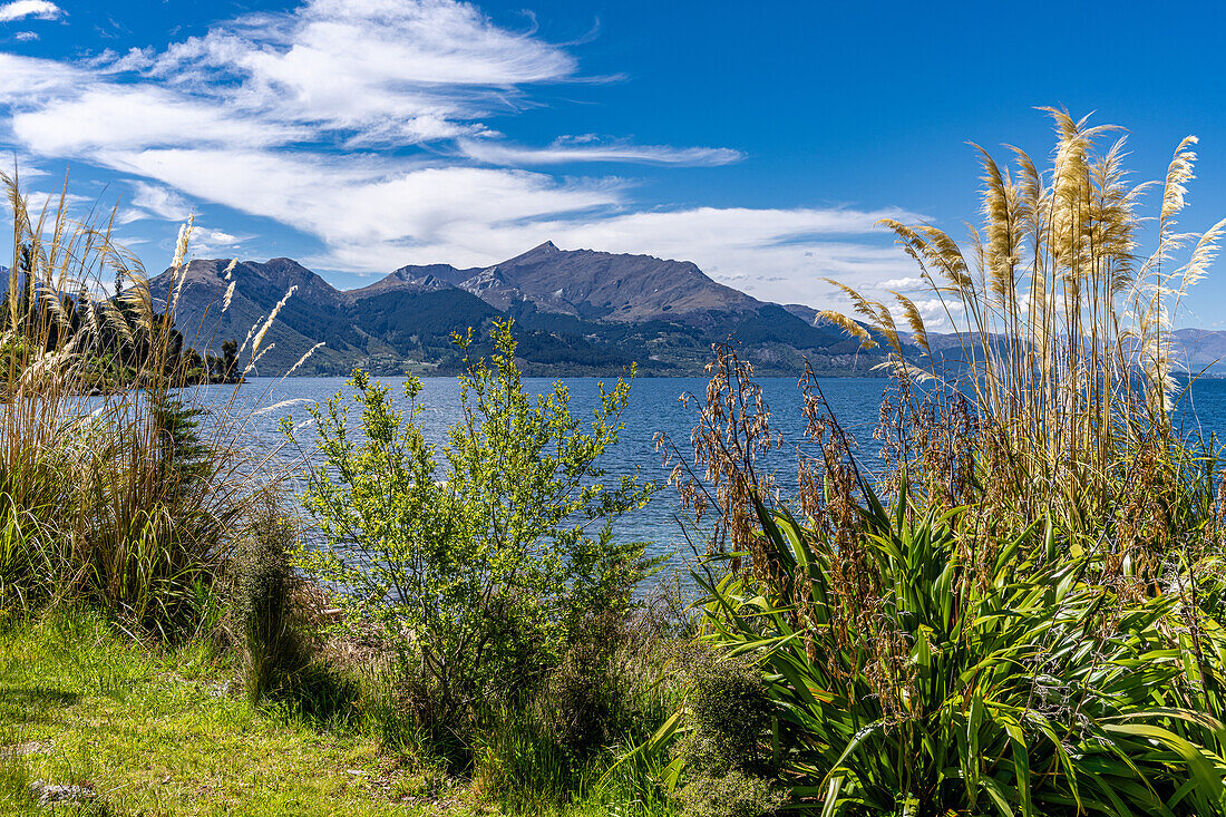 Wunderschöne Farben im Blumengarten der Walter Peak High Country Farm, Neuseeland