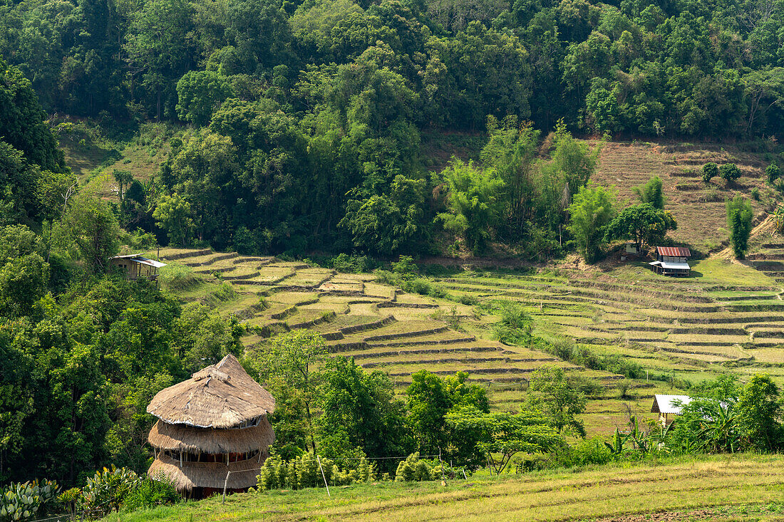 Landscape with rice terraces at the Pha Dok Sieo Nature Trail in Doi Inthanon National Park, Chiang Mai, Thailand, Asia