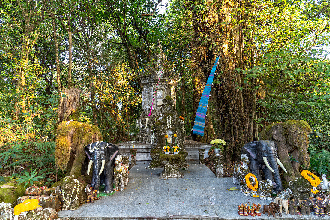 Yod Doi Nature Trail mit dem King Inthanon Memorial Shrine, Doi Inthanon Nationalpark, Chiang Mai, Thailand, Asien