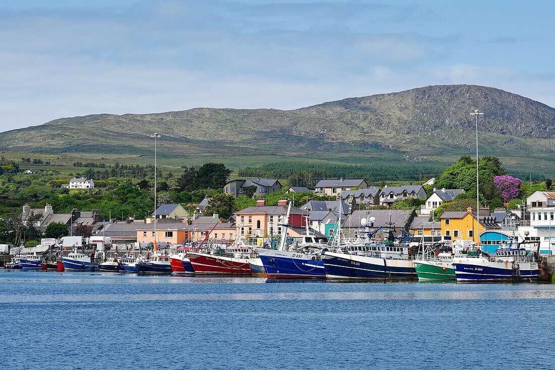 Ireland, County Cork, Beara Peninsula, Castletownbere, ships in the harbor