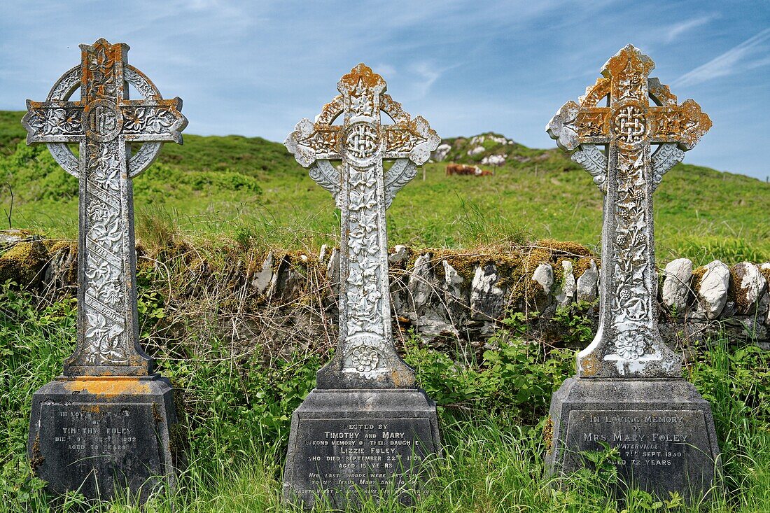 Ireland, County Kerry, Ring of Kerry, Abbey Island, cemetery at Derrynane Abbey
