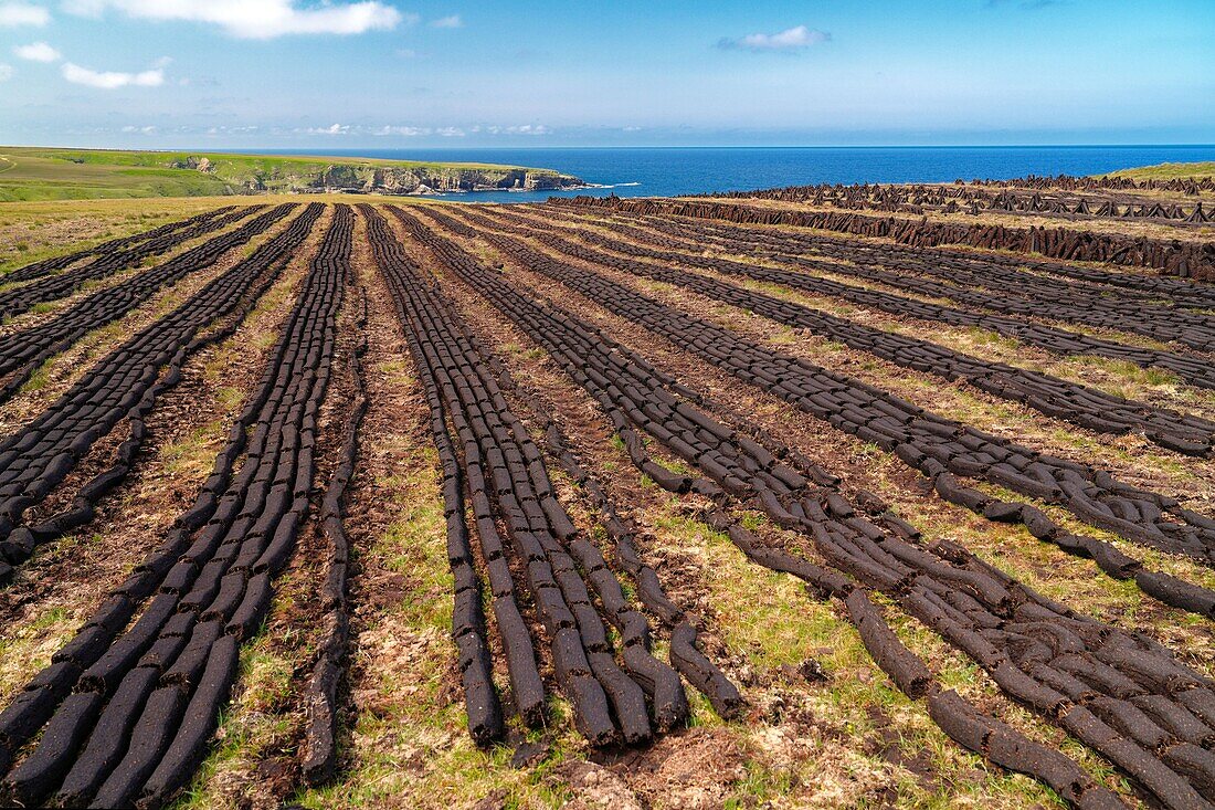 Ireland, County Mayo, North West Coast, Glenloss Point, looking north towards the Atlantic, peat bricks