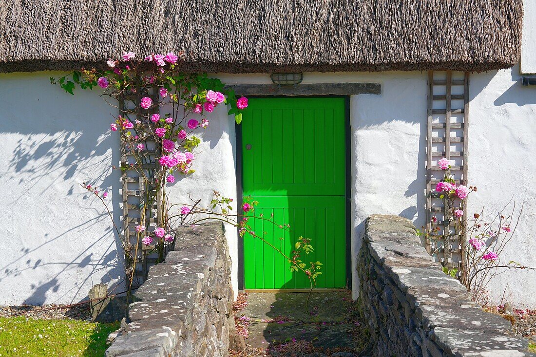 Ireland, County Mayo, North Coast, Cottage
