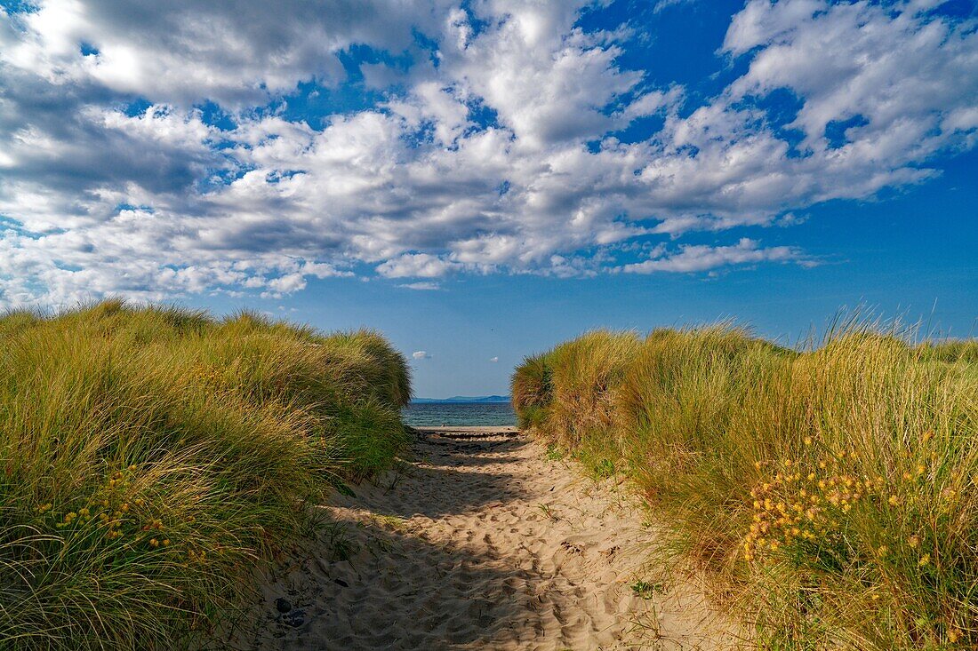 Ireland, County Sligo, dunes at Streedagh Beach