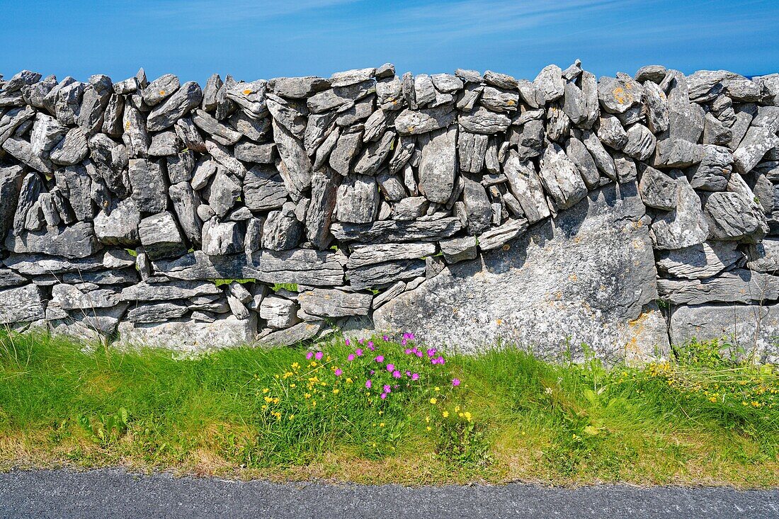 Irland, County Galway, Aran Islands, Insel Inishmaan, Steinmauern