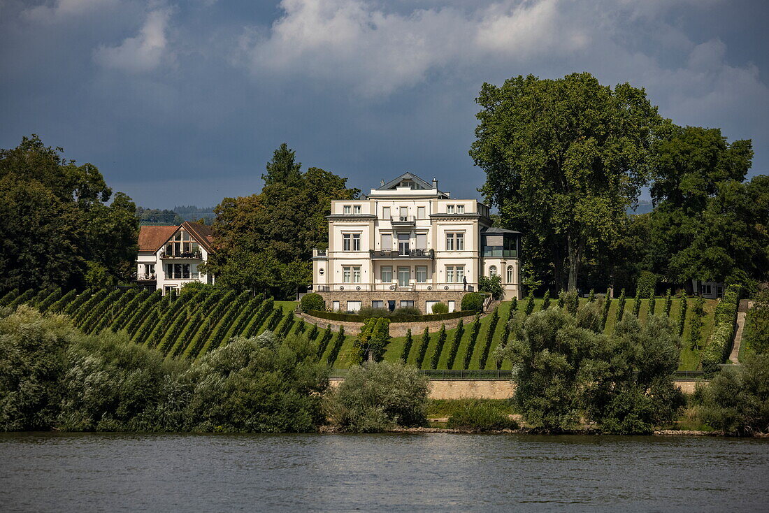 Villa mit Weinberg am Rhein von Flusskreuzfahrtschiff aus gesehen, Eltville, Hessen, Deutschland, Europa