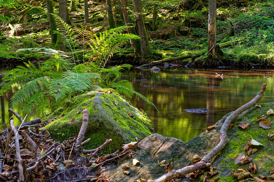 Der Flusslauf der Thulba in der Kernzone des Biosphärenreservats Rhön zwischen Oberthulba und Thulba, Landkreis Bad Kissingen, Unterfranken, Franken, Bayern, Deutschland