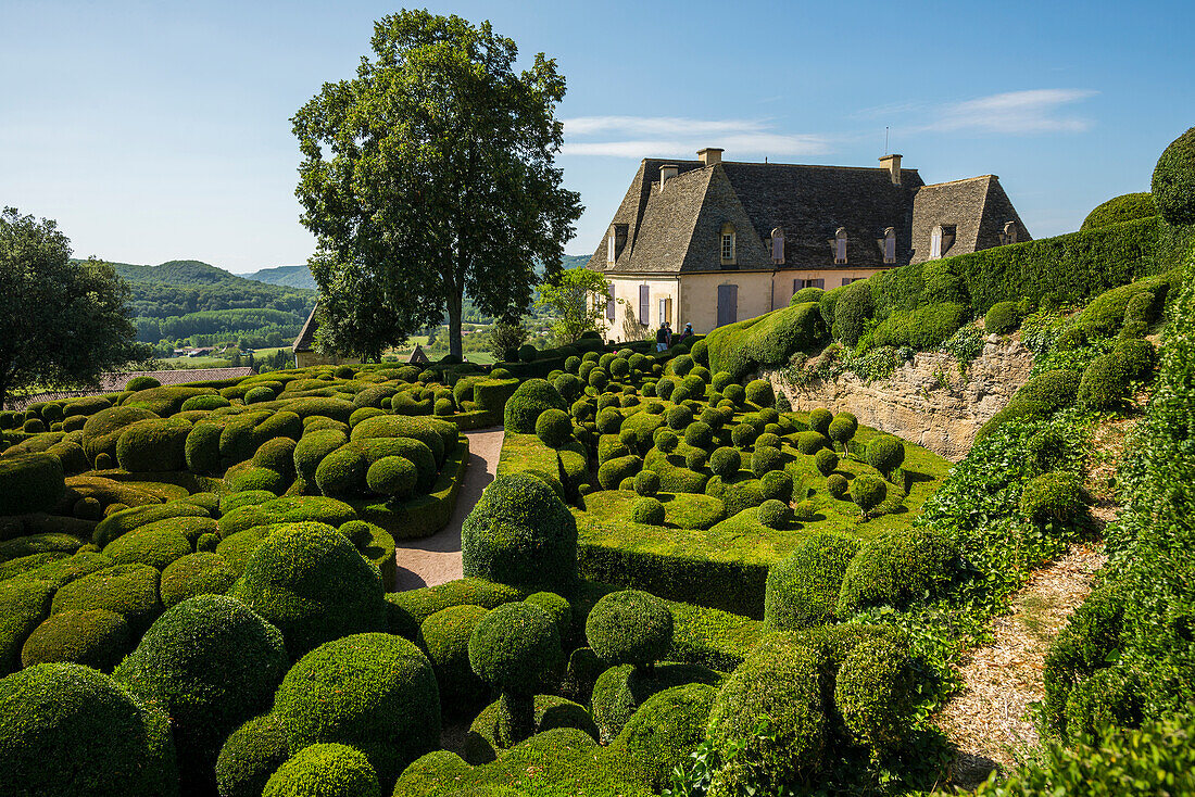 Boxwood garden, Les Jardins de Marqueyssac, Vezac, Dordogne, Périgord, Dordogne department, Nouvelle-Aquitaine region, France
