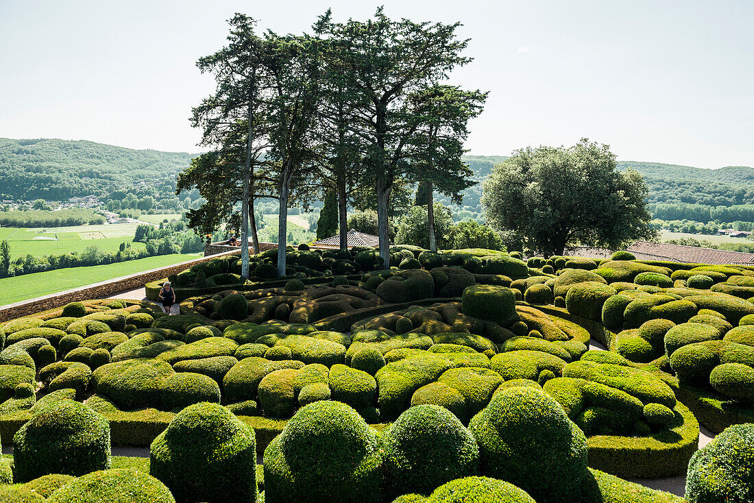 Boxwood garden, Les Jardins de Marqueyssac, Vezac, Dordogne, Périgord, Dordogne department, Nouvelle-Aquitaine region, France